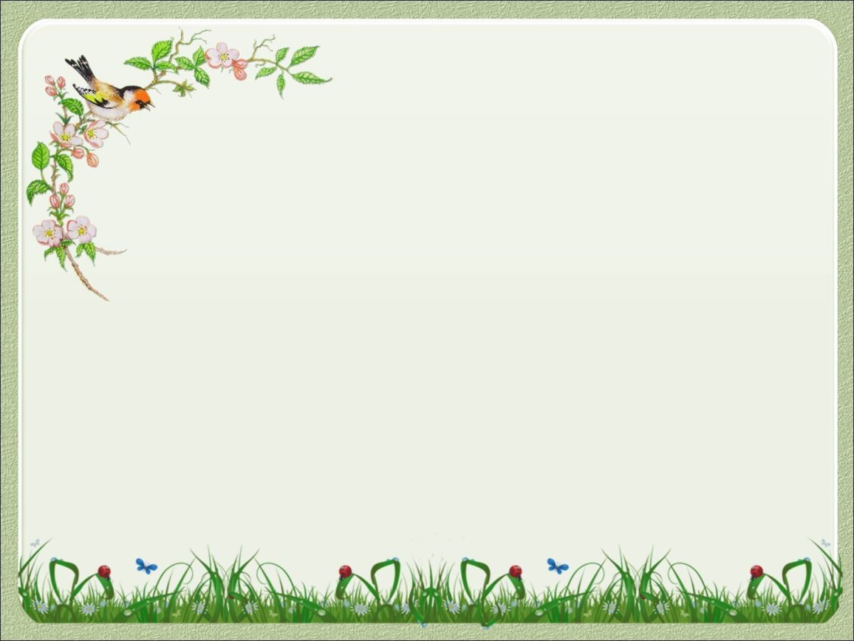 Фон для презентации птицы