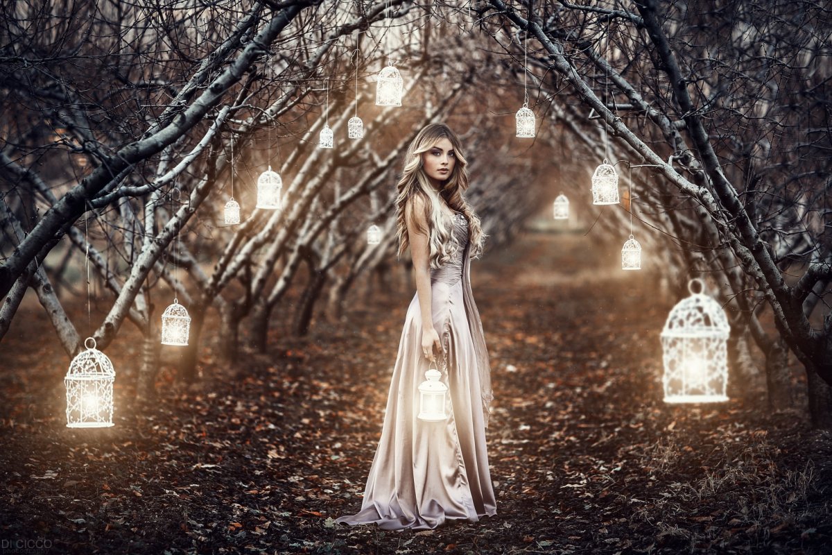 Alessandro di Cicco фотограф