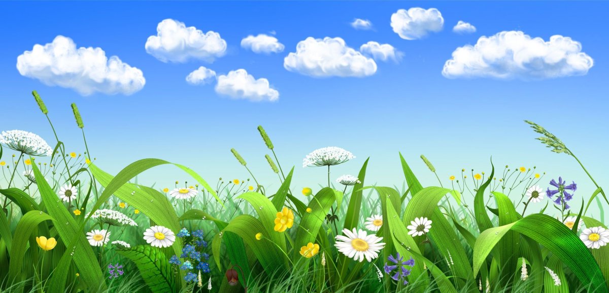 Луг с цветами и бабочками