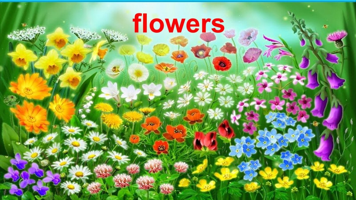 Рисунок лето