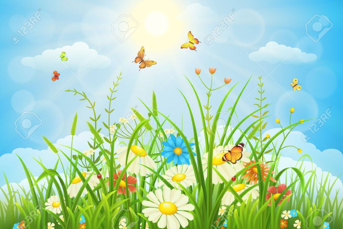 Ромашковое поле акварель