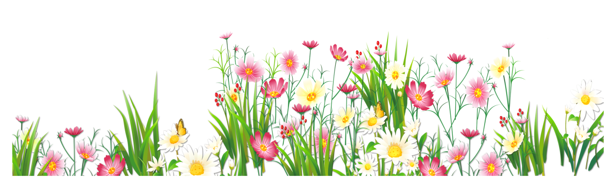 Художница Mary Dipnall