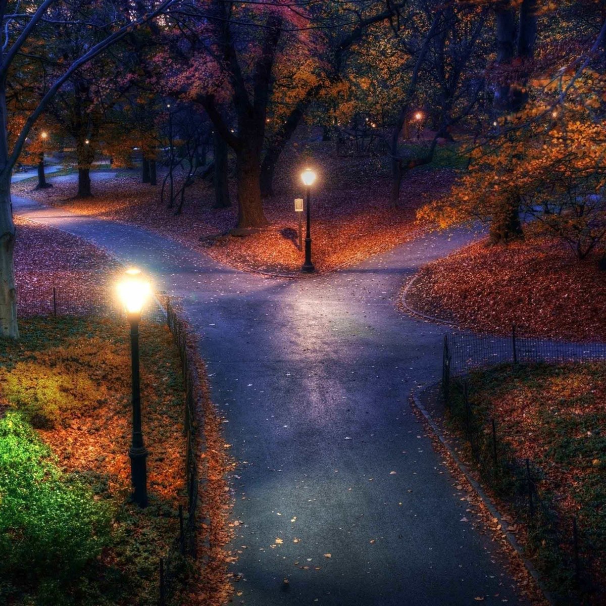 Осенний парк ночью