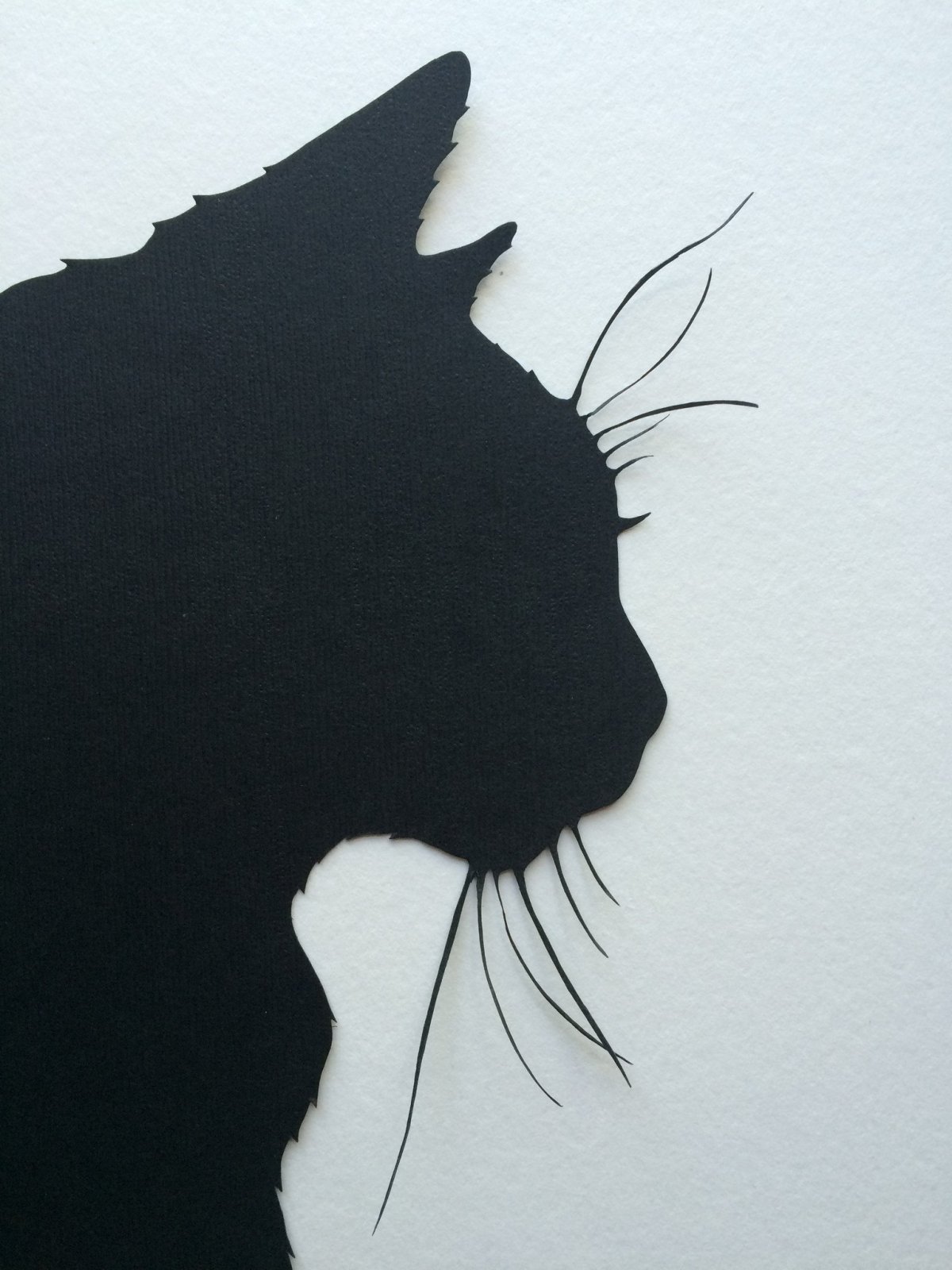 Черная кошка силуэт