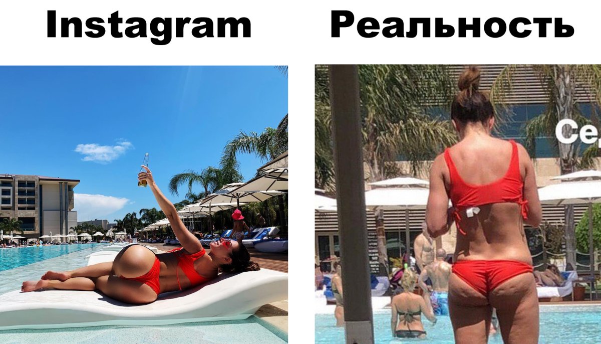 Вставай собака