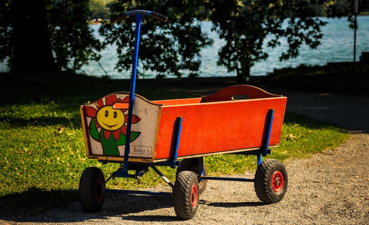 Медведь из продуктов