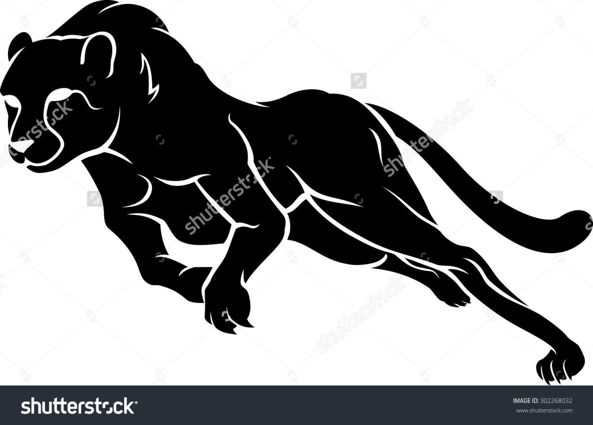 Домашняя Пума черная