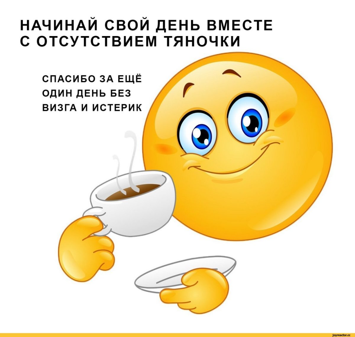 Роллы приколы