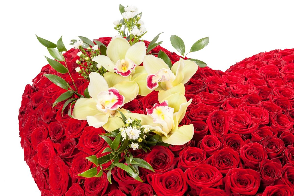 Сердце из роз