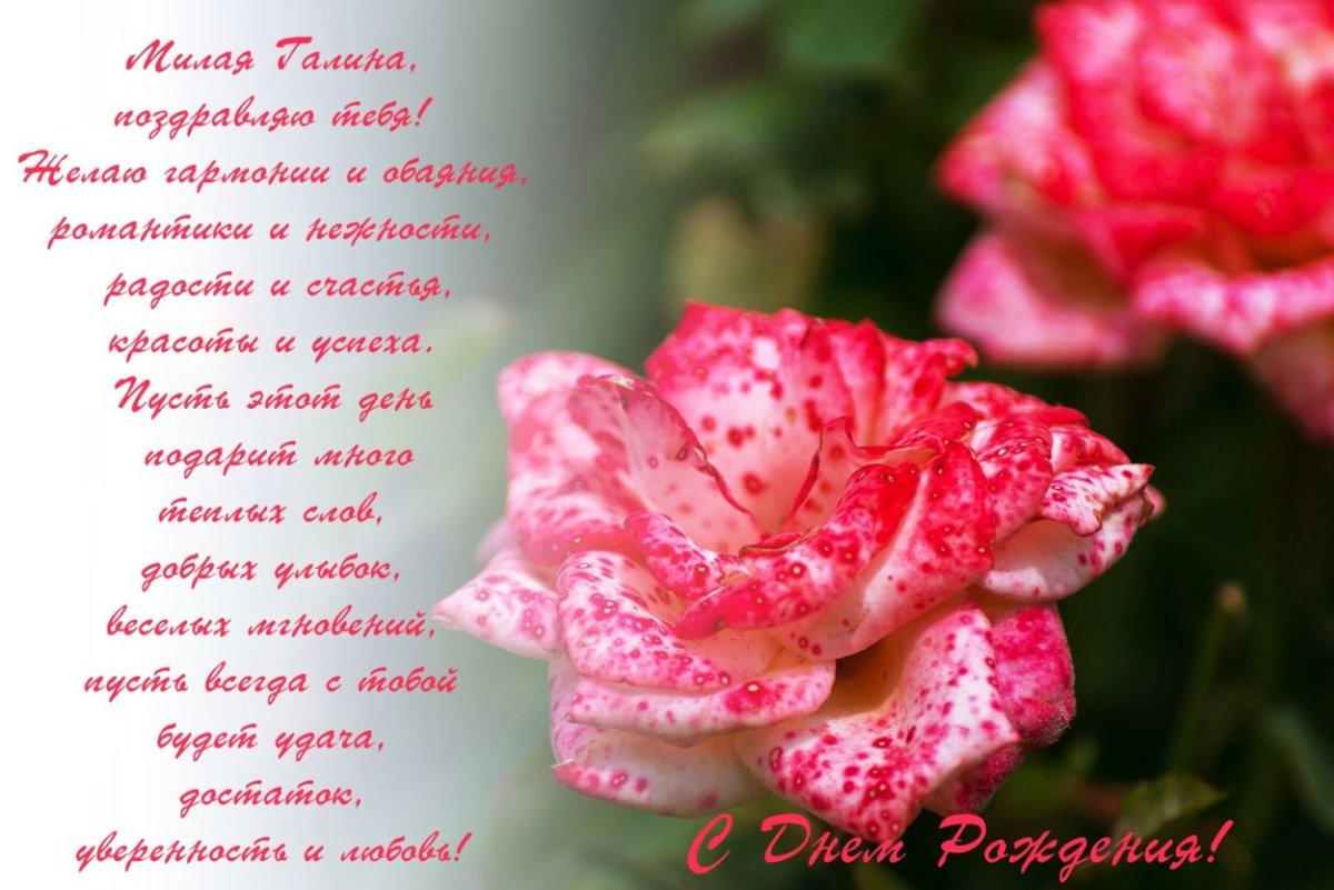 Поздравления с юбилеем галочка