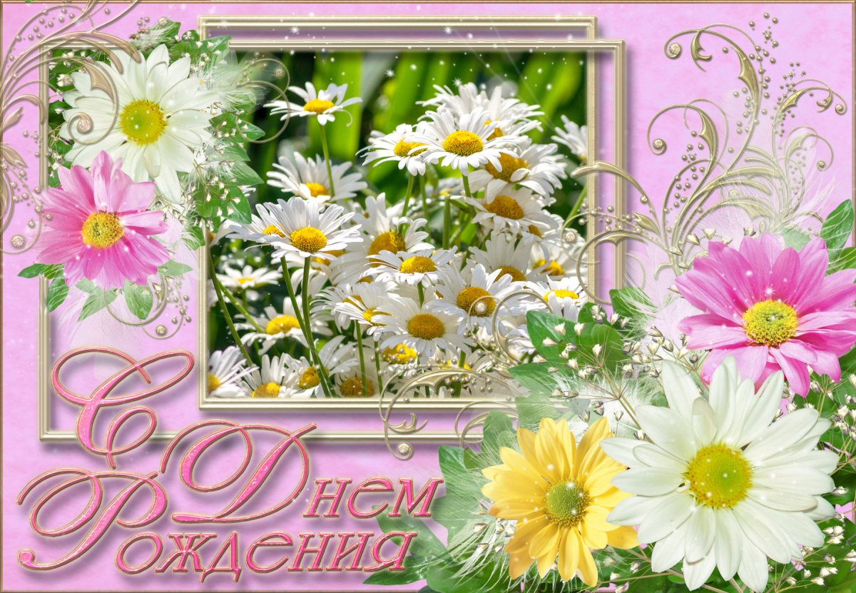 Фото с днем рождения галочка