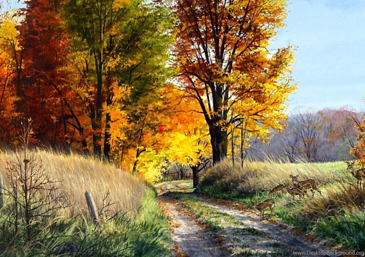 Пейзажи всех времен года