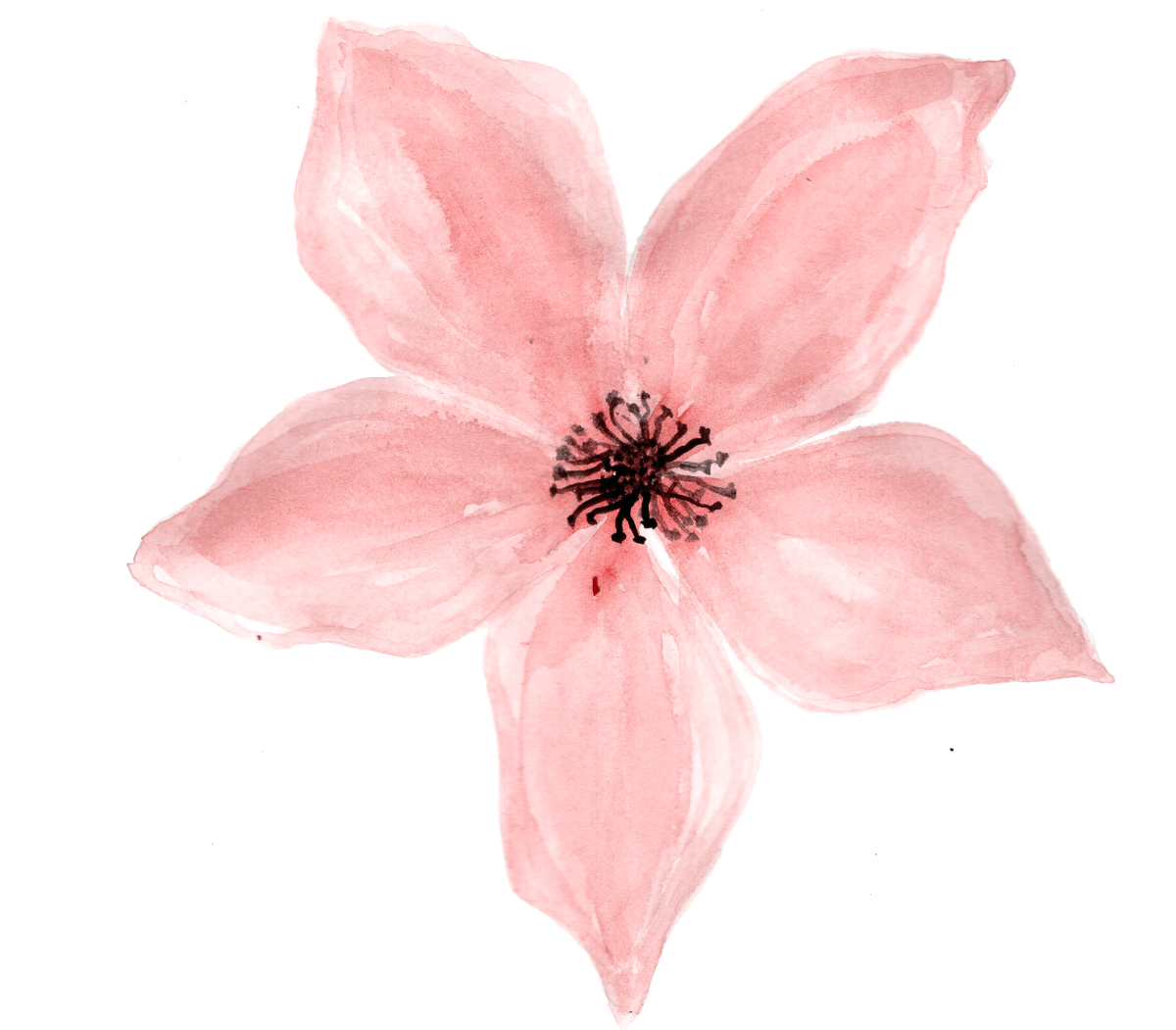 Розовые цветы нарисованные