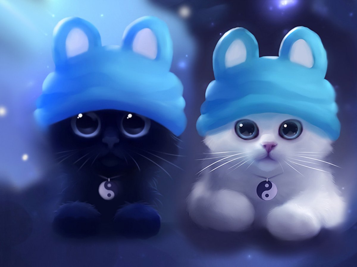 Милые котики