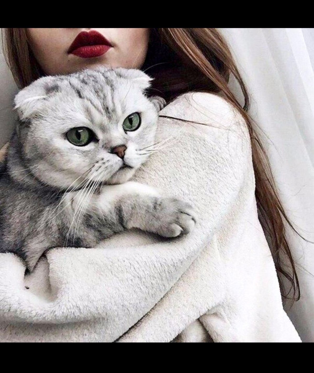 Котенок в шапочке