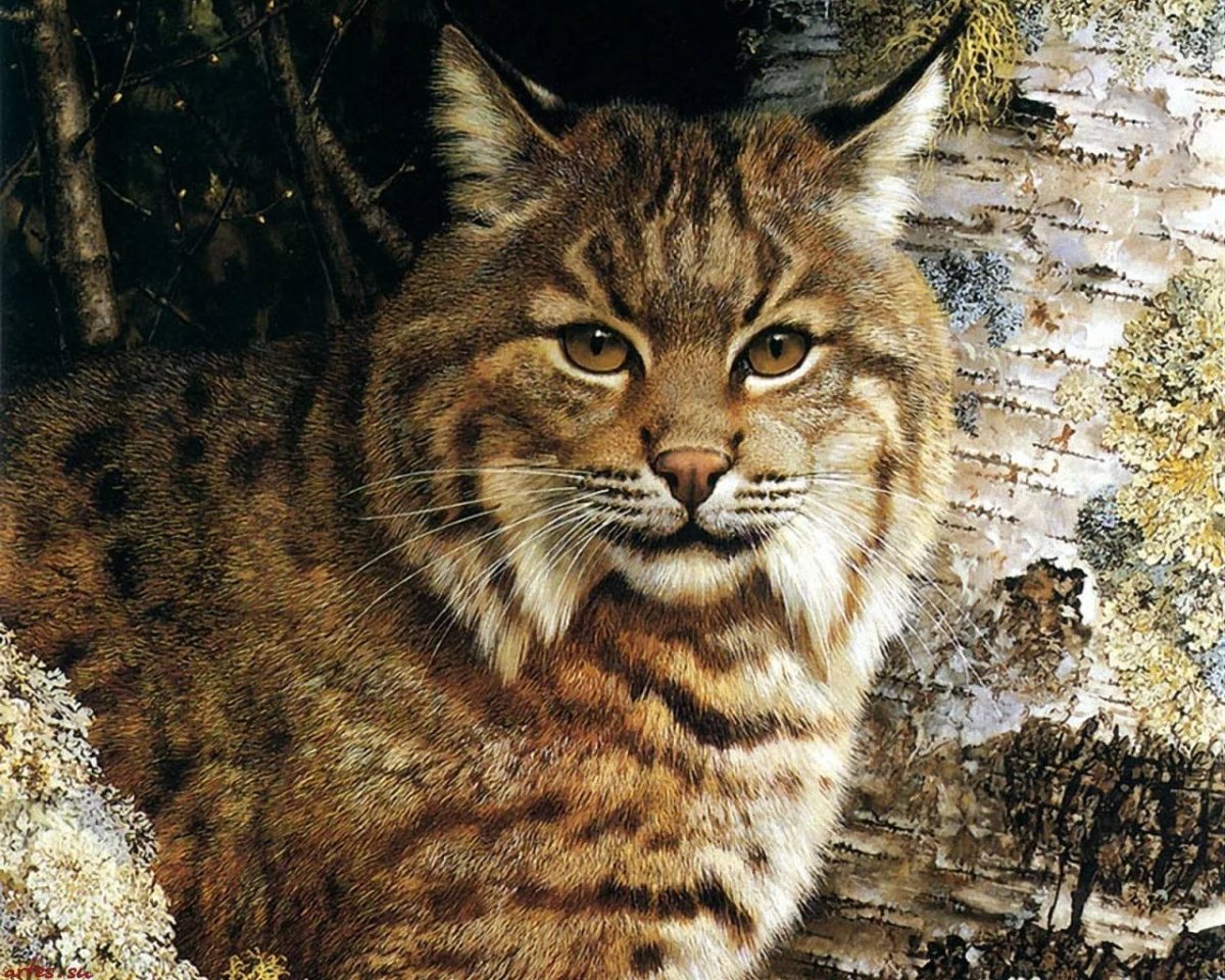 Карл Брендерс художник