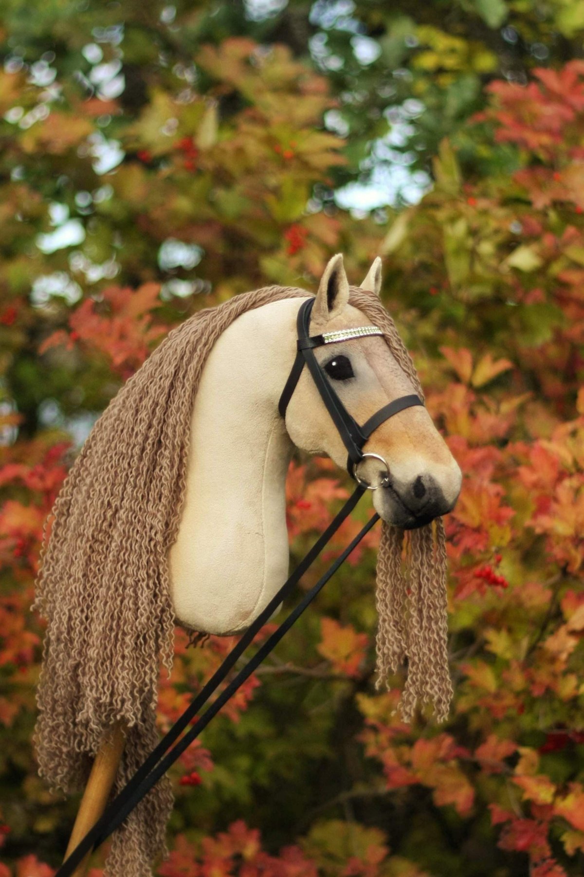 Хоббихорс араб