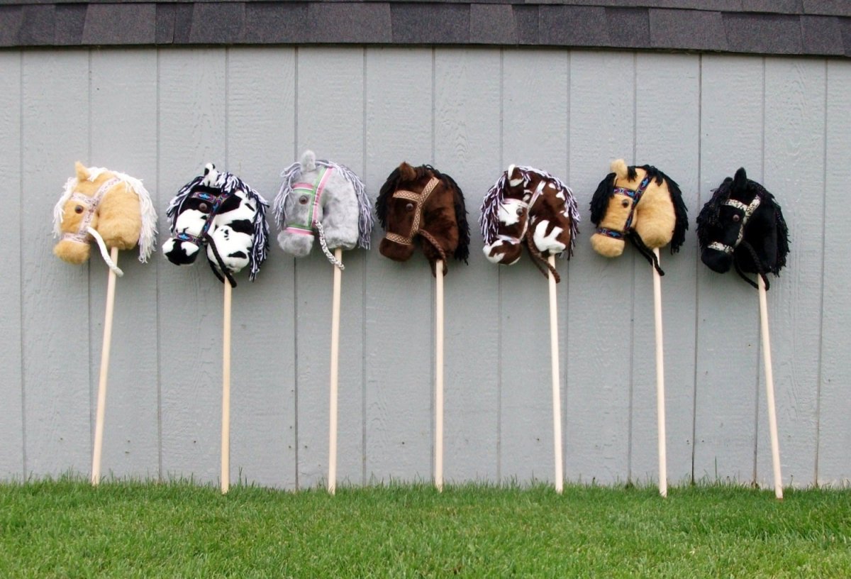 Хобби хорсинг