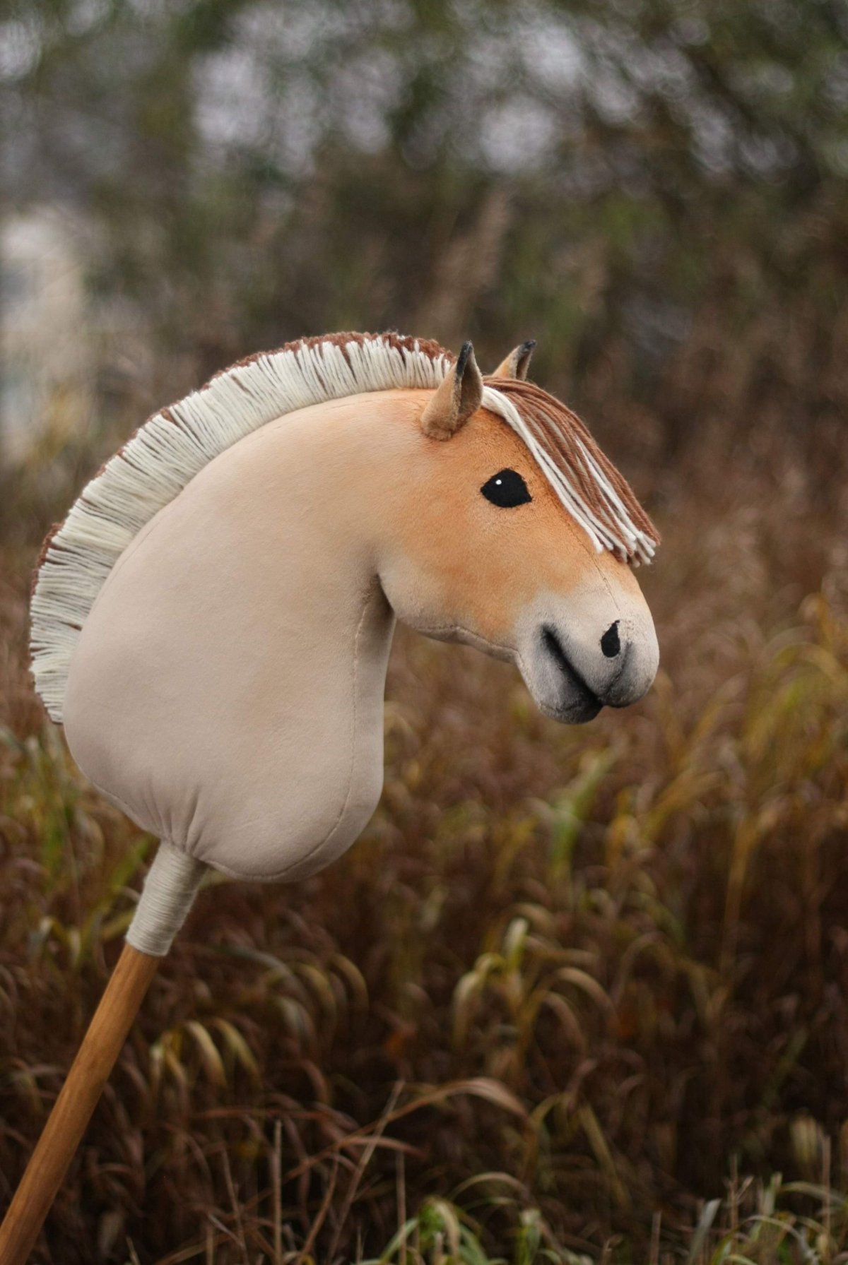 Хобби Хорс Фьорд