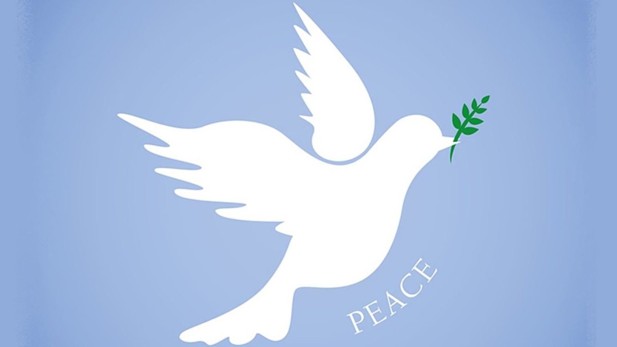 Белый голубь ангел