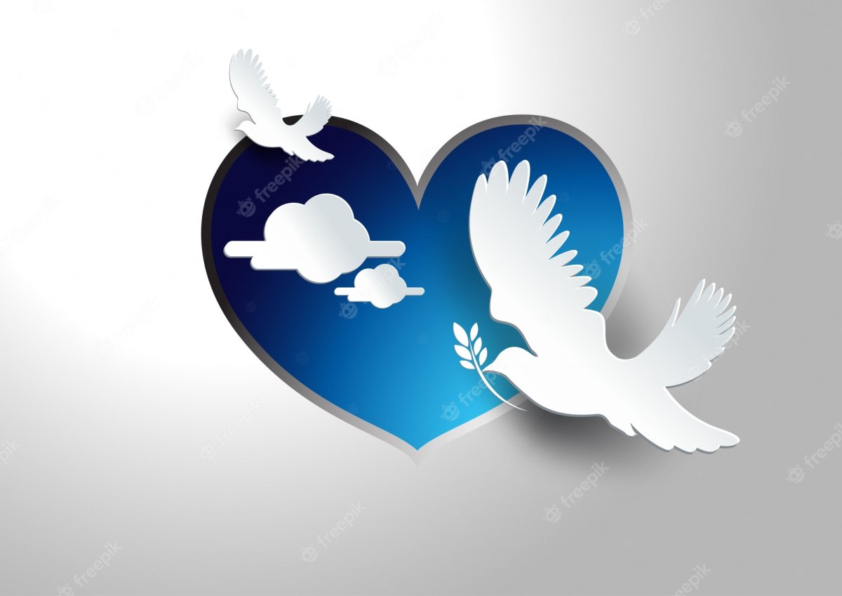 Голубь с розой