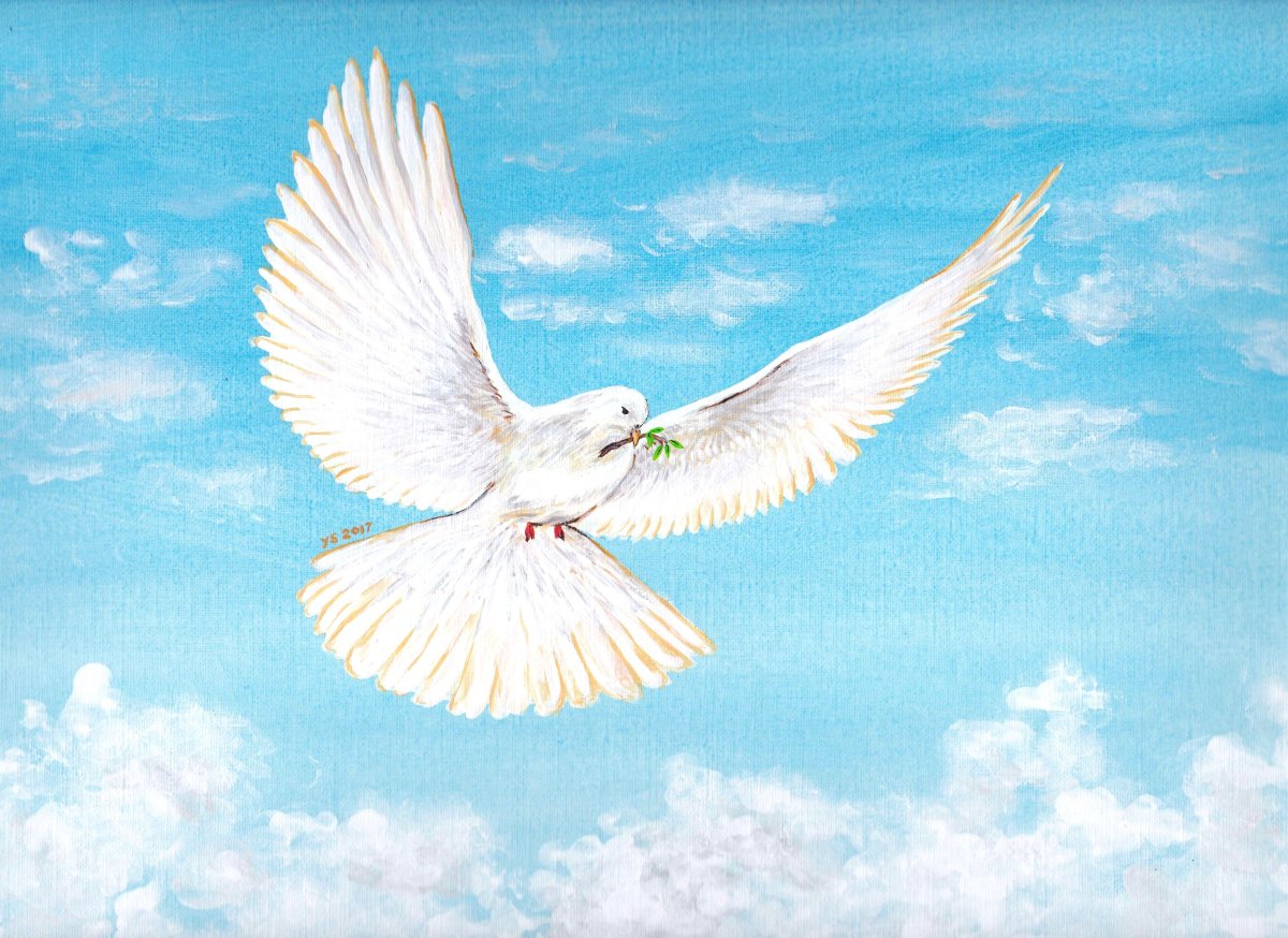 Голуби на праздник