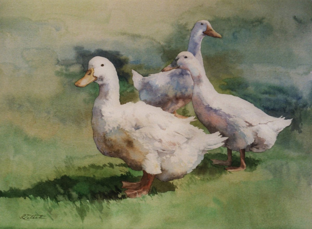 Гусь акварелью