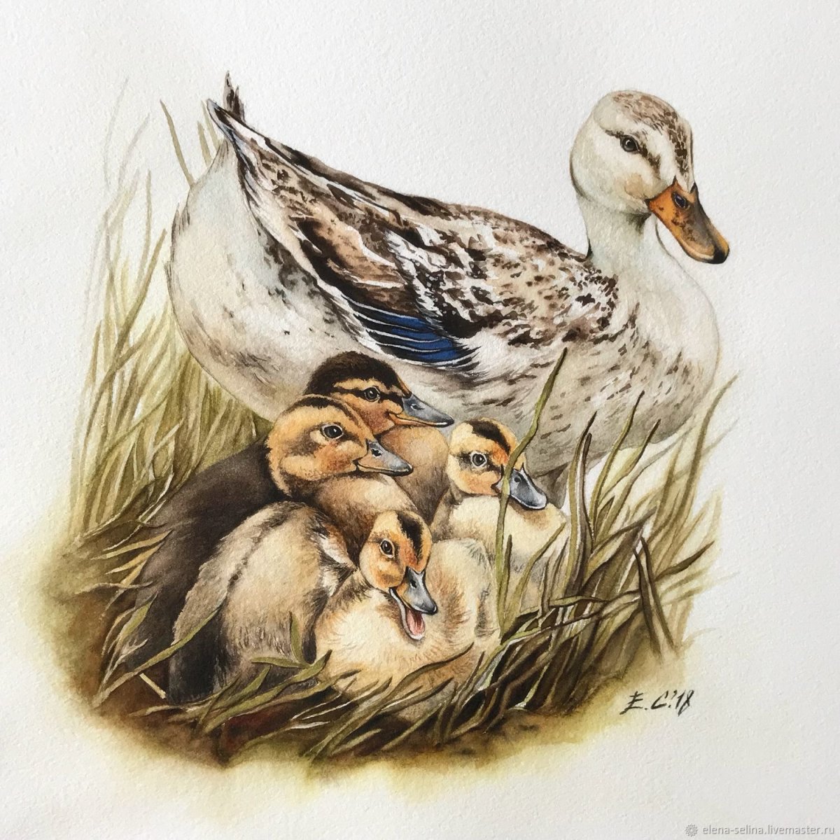 Утки акварелью