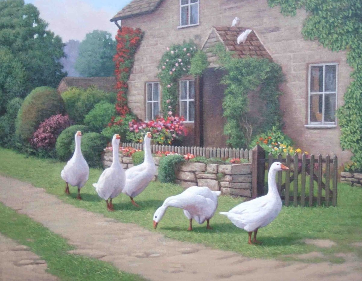 Гуси во дворе