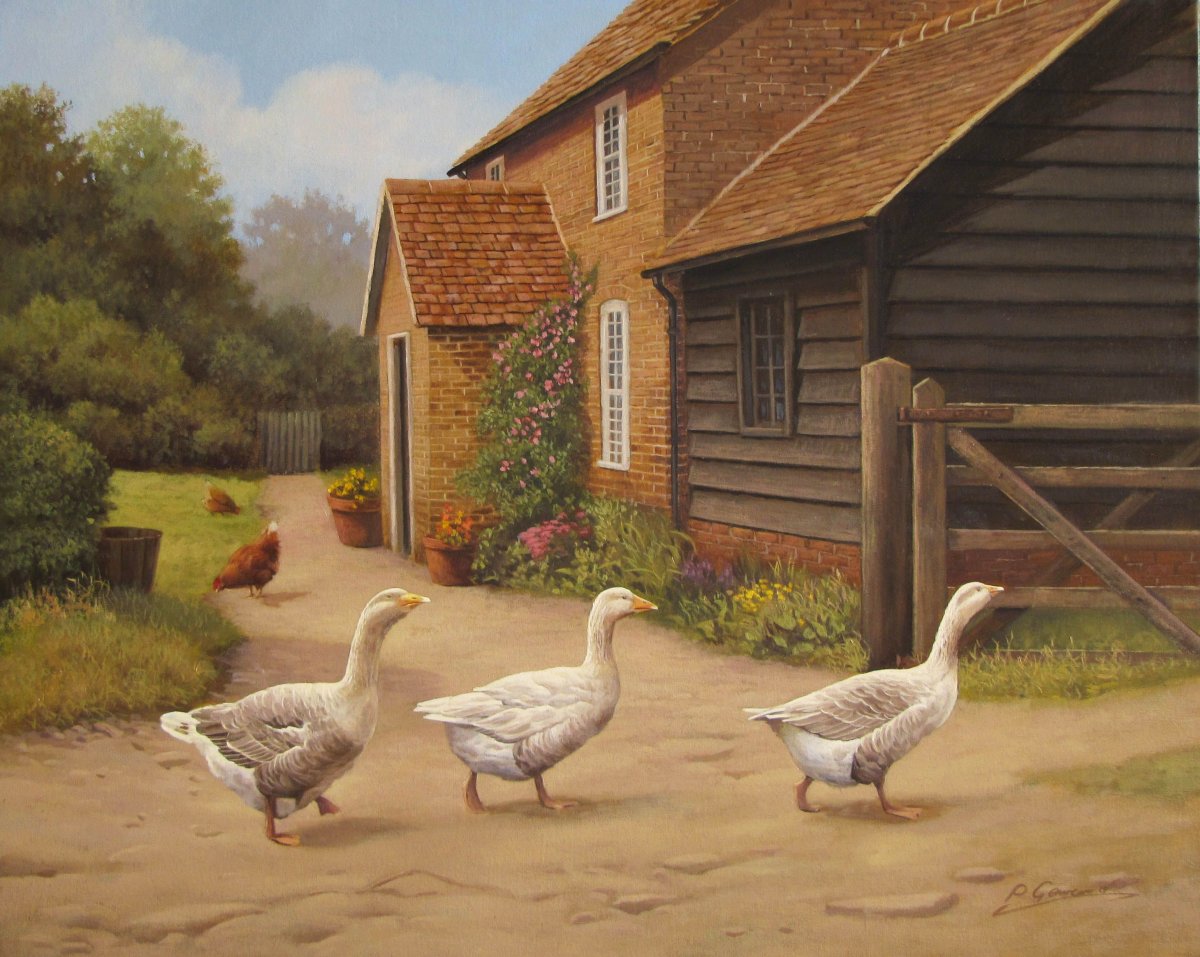 Деревенские птицы