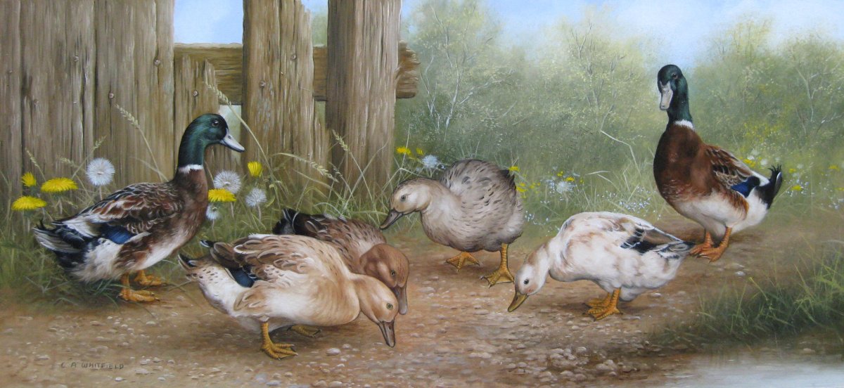 Художник Карл Эндрю Уитфилд