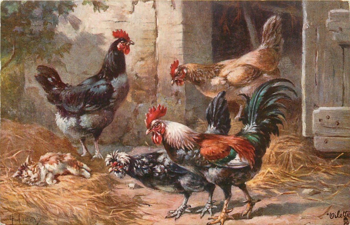 Петух Курочка и цыплята