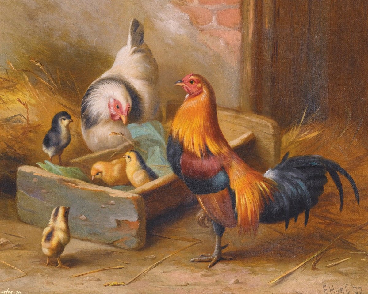 Куриная семья картинки
