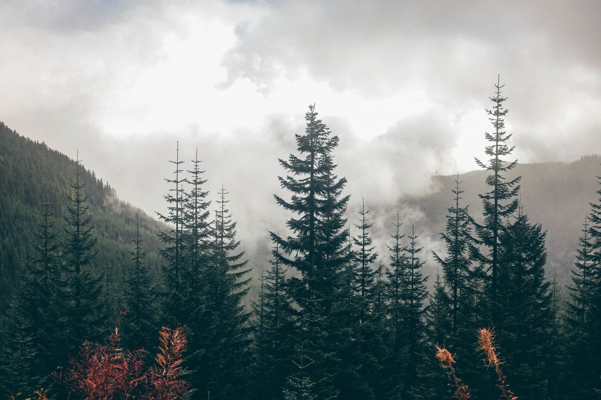 Красивый закат