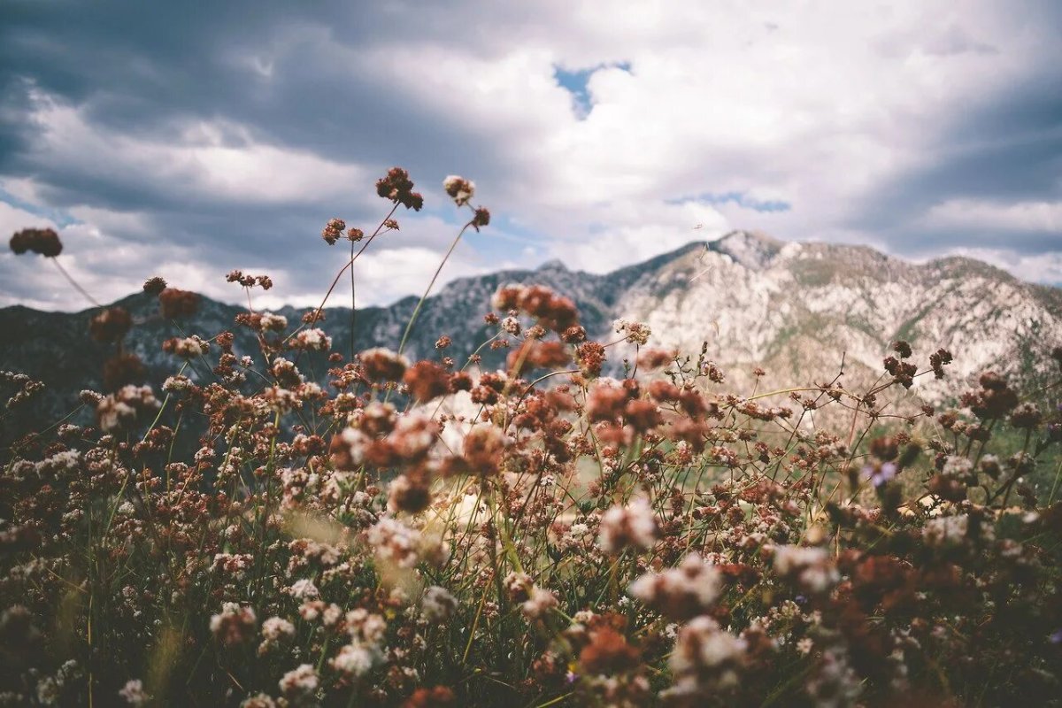 Безумно красивые горы