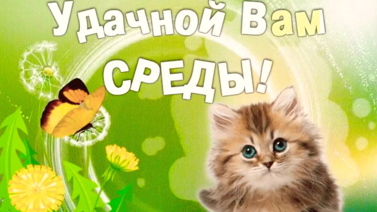 Открытка продуктивной среды