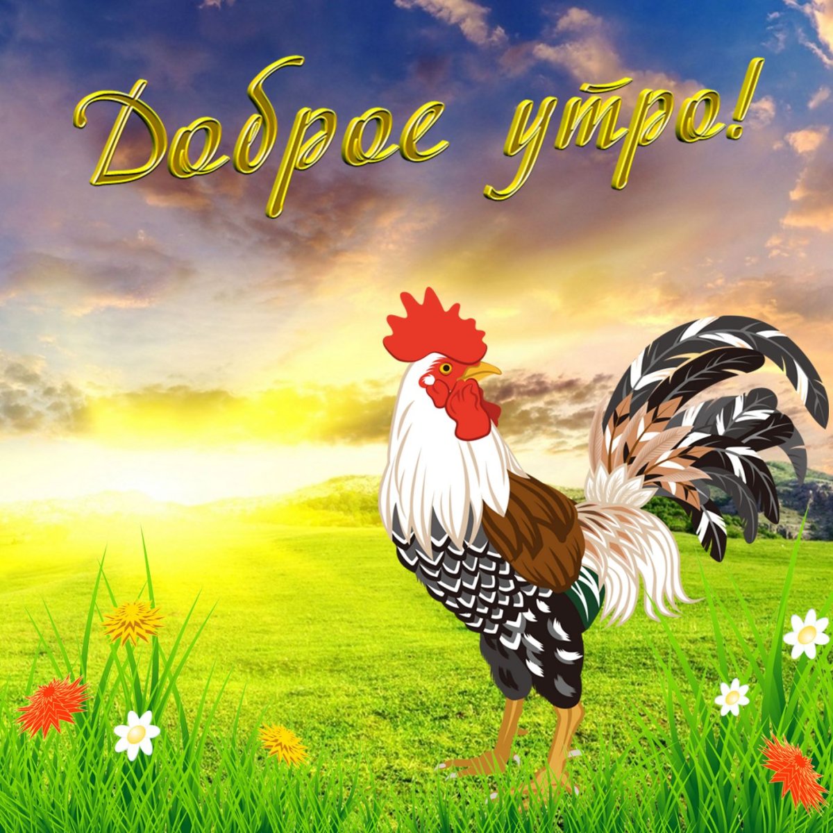 Открытки с добрым утром
