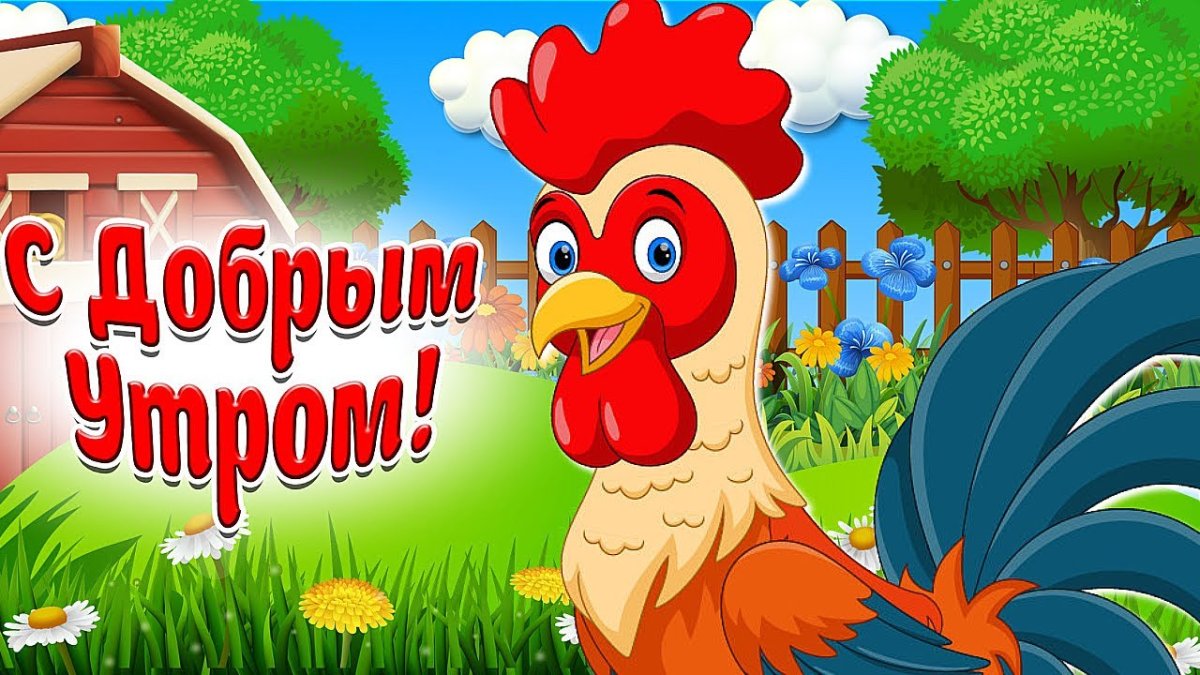 Доброе утро кукареку петушок картинки