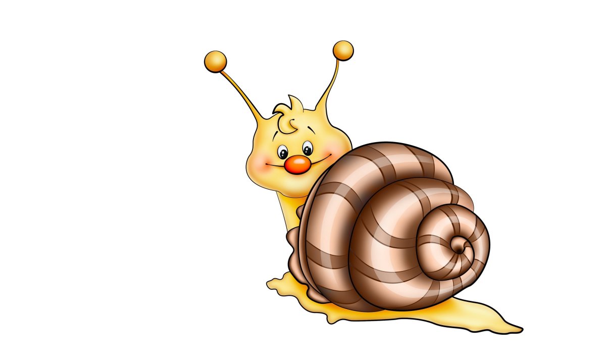 Улитка на белом фоне