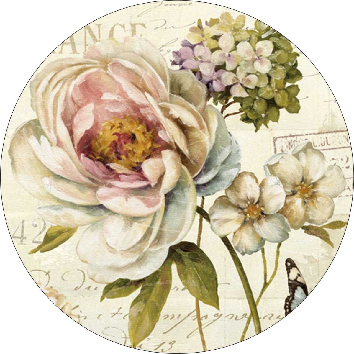 Цветы Lisa Audit