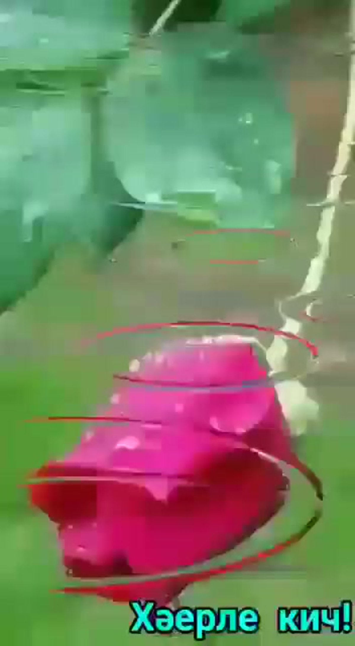 Розы на капоте