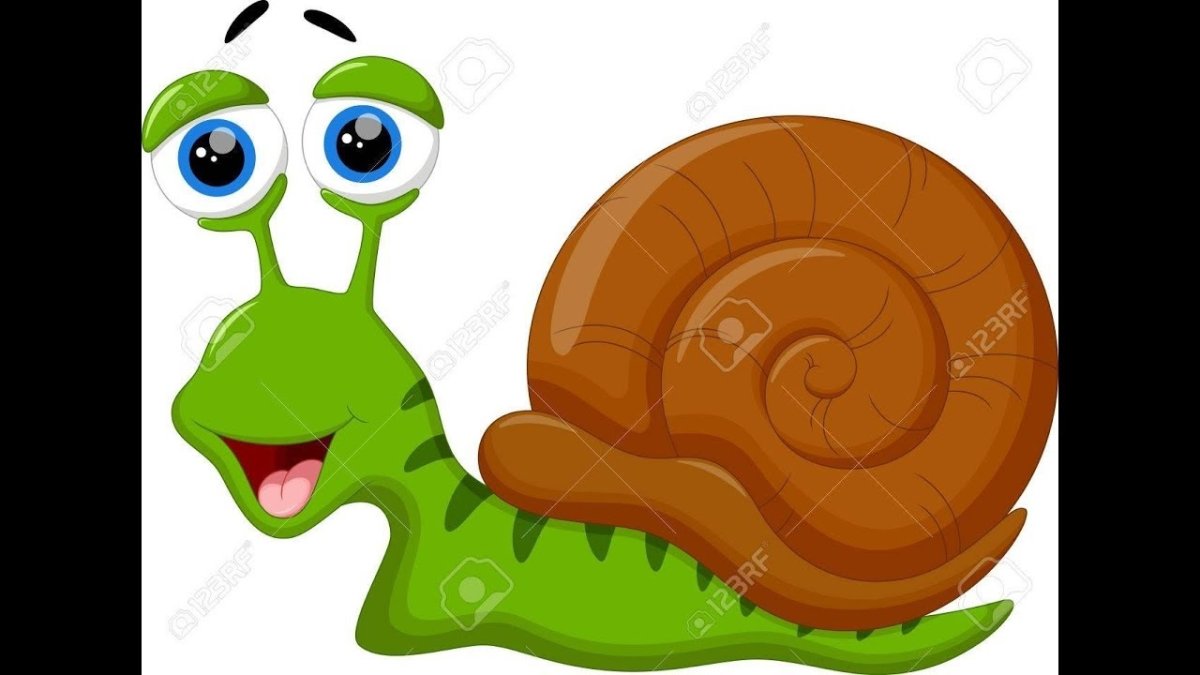 Улитка с домиком на прозрачном фоне