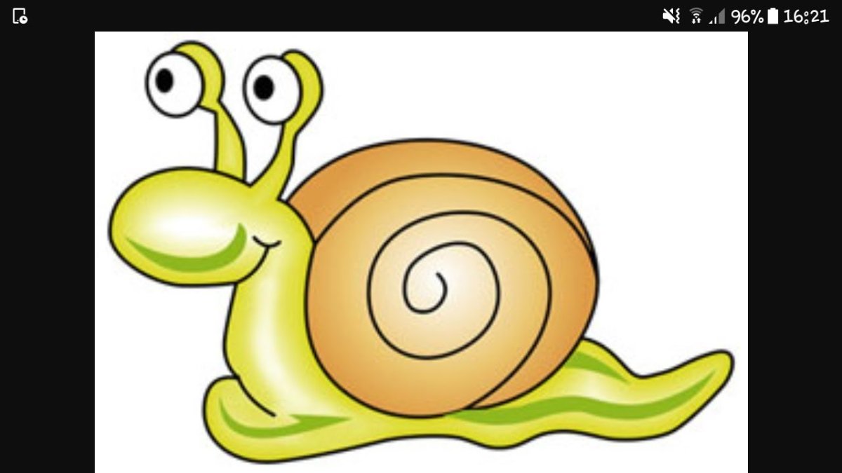 Улитка клипарт