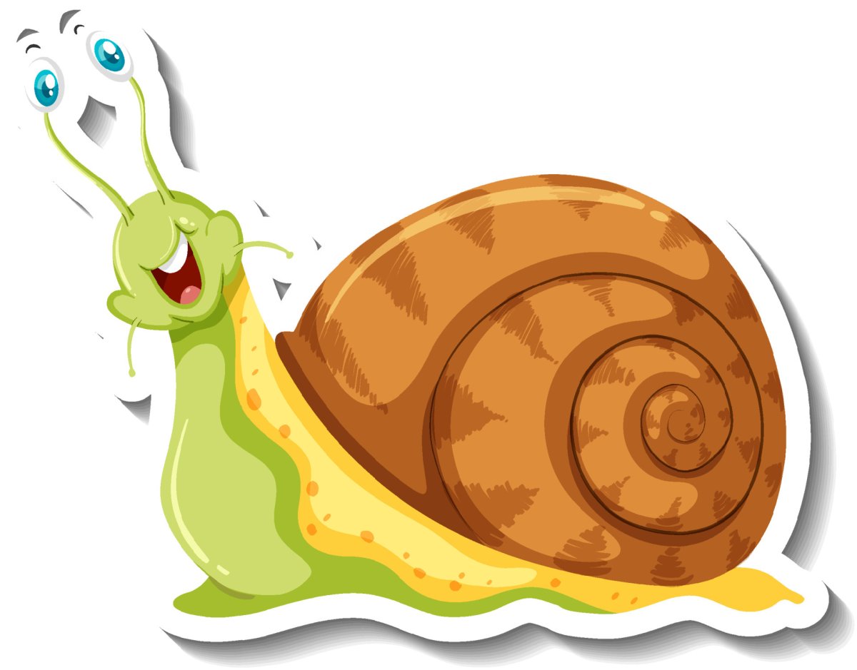 Улитка рисунок