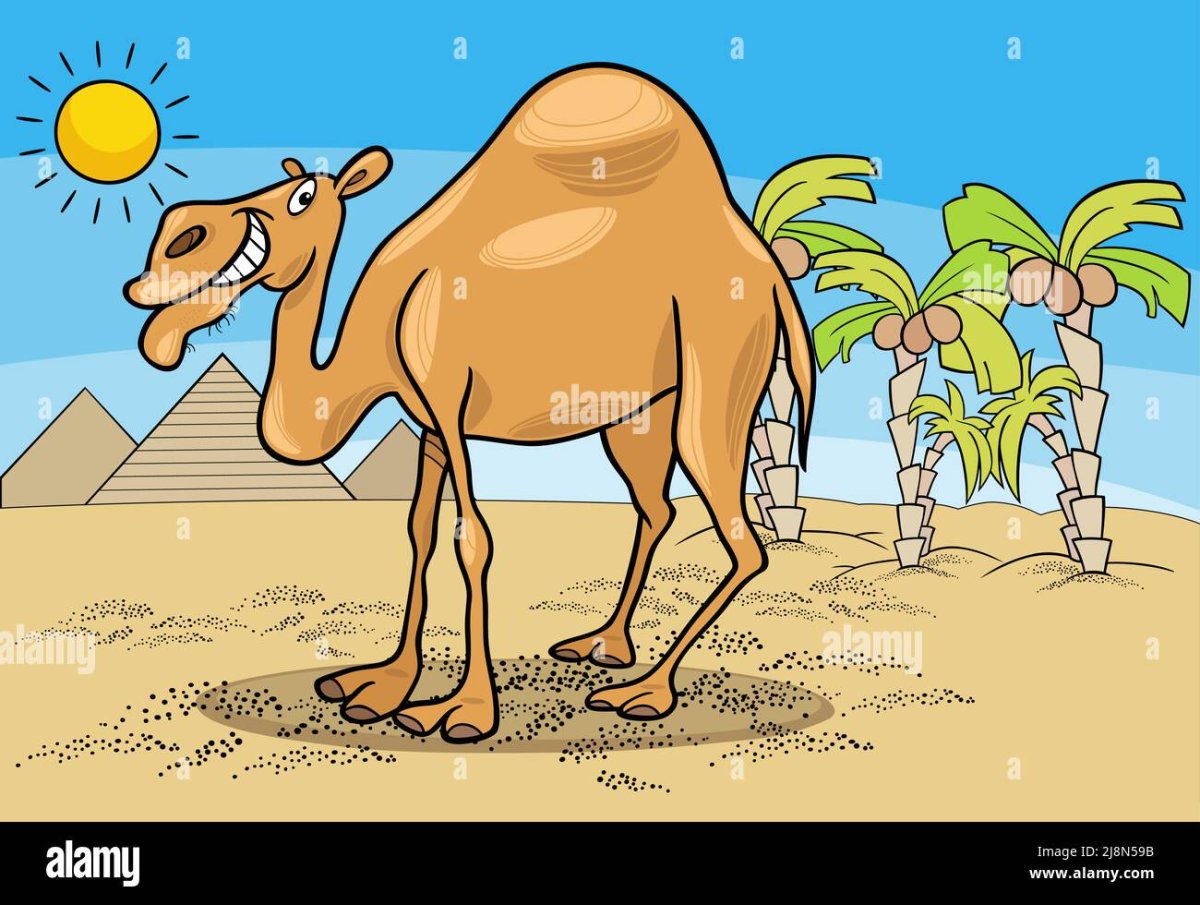 Пустыня в Египте Рисованные Верблюды