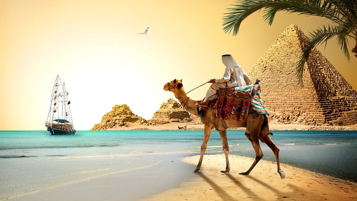 Красивый верблюд в пустыне