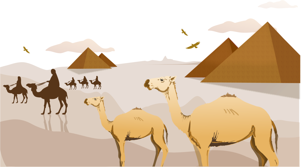 Пустыня Верблюды Караван вектор