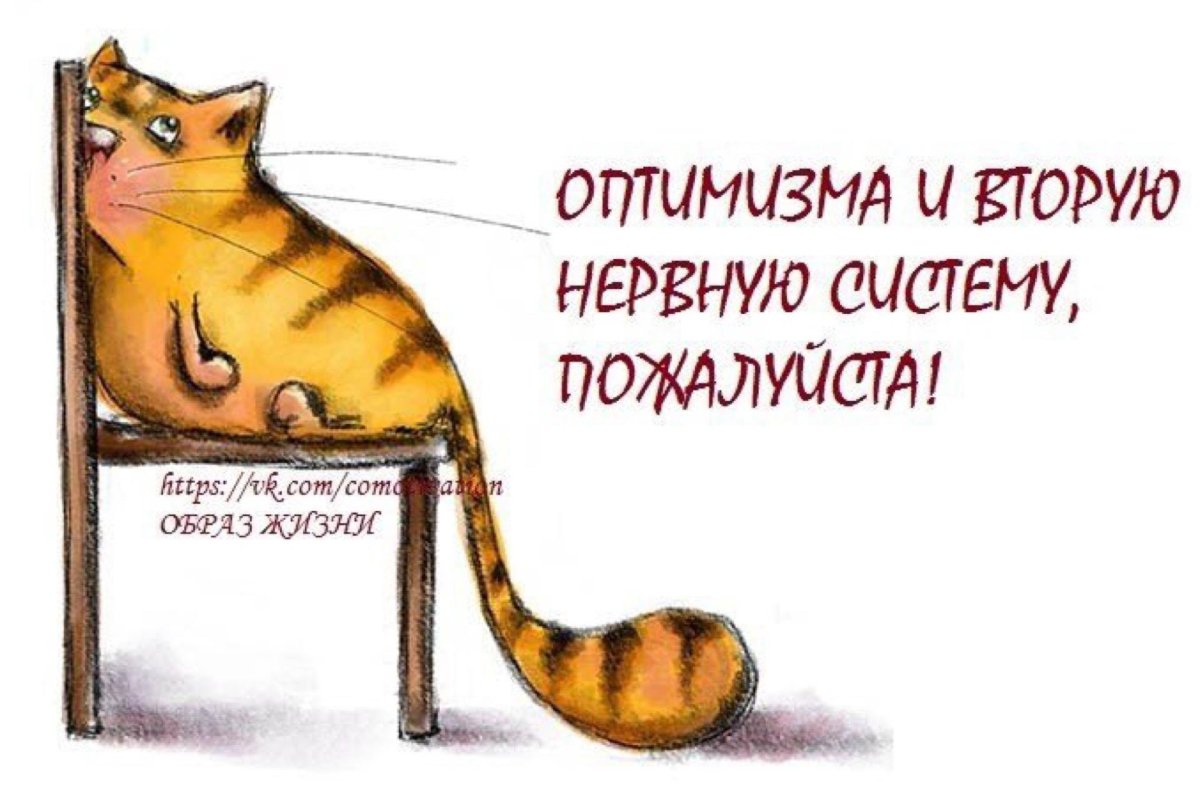 Настроение цитаты прикольные