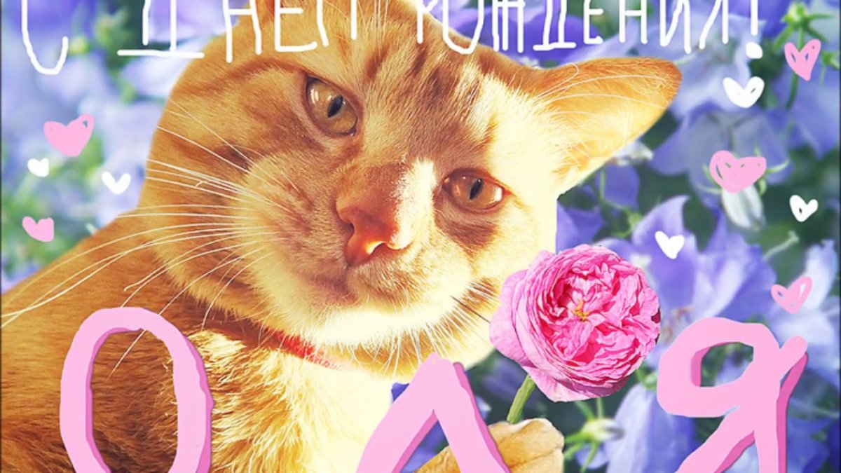 Поздравления с днём рождения Оле