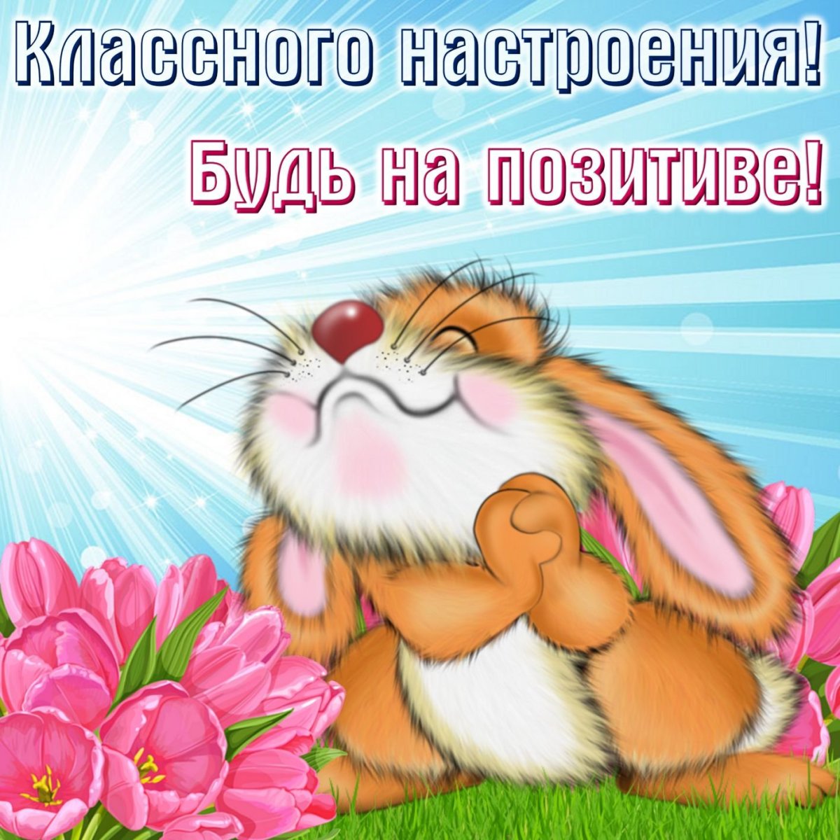 Позитивная открытка для настроения